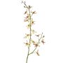Rama de orquídea Cattleya artificial TRASSA, verde claro-rojo, 80cm, Ø4-8cm
