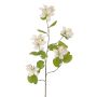 Rama artificial Bauhinia ENSANA, blanca, 120cm
