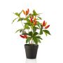 Planta de chile artificial KIRKI con frutos, en maceta decorativa, rojo anaranjado, 35 cm