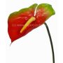 Lirio flamingo artificial MOIRA, rojo-verde, 75cm, 13x18cm