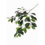 Rama de Ficus Microcarpa de simulación BHAO, verde, 65cm