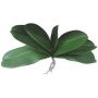 Hojas artificiales de orquídea Phalaenopsis PRIMALA, raíz aérea, 21 x 29 cm