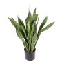Sansevieria artificial BEYZA, verde, 80cm