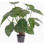 Singonio artificial PERAMI, verde, 45cm