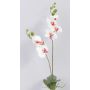 Orquídea Phalaenopsis sintética NAARA vara fijación, blanco-fucsia, 75cm