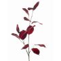 Rama de lunaria artificial JEPPE, dunkelrojo, 60cm