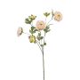 Rama artificial de ranúnculos DAVELLA, rosa-crema, 80 cm