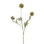 Rama decorativa de scabiosa en forma de estrella RANIK, verde, 70 cm