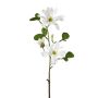 Rama de flores artificiales magnolia estrellada BLOVI, crema, 60 cm