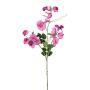 Rama artificial Lathyrus latifolius PLENVO, rosa, 75 cm