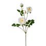 Rama de flores artificiales de peonía KROVEL, crema, 75 cm