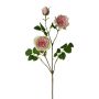 Rama artificial de peonía KROVEL, verde-rosa, 75 cm