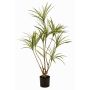 Árbol artificial Dracaena marginata SHALLU, troncos artificiales, verde, 120 cm