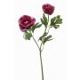 Rama decorativa Ranúnculo Rama de flores FLORANCE, violeta oscuro, 45 cm