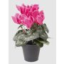 Ciclamen artificial HEIDI en maceta decorativa, fucsia, 25cm, Ø5-8cm
