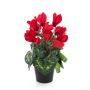 Ciclamen artificial HEIDI en maceta decorativa, rojo, 25cm, Ø5-8cm