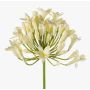 Agapanthus artificial PHILINA, crema, 75cm, Ø14cm