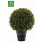 Árbol boj artificial TOM, macetero, exterior, verde, 55cm, Ø40cm