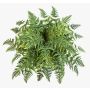 Helecho Athyrium artificial RENE, vara de fijación, verde, 75cm, Ø90cm