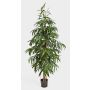 Longifolia artificial HARU, tronco real, difícil inflamar, verde, 210cm
