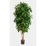 Schefflera artificial MADDISON, troncos naturales, difícilmente inflamable, verde, 140cm