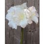 Amaryllis artificial DAGGI, blanco, 70cm, Ø11-18cm