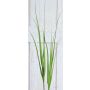 Rama de hierba artificial cortaderia ILYAS, verde, 150cm