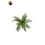 Planta artificial helecho hembra FRIGAL con varilla, difícilmente inflamable, verde, 25 cm
