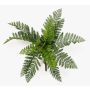 Planta artificial helecho hembra FRIGAL con varilla, difícilmente inflamable, verde, 25 cm