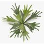 Planta artificial helecho cuerno de ciervo VIGRAL, varilla, difícilmente inflamable, verde, 35cm