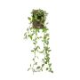 Planta colgante artificial pimienta enana SAELFES con varilla, verde-blanco, 85 cm