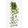 Planta colgante artificial filodendro escandens SAELFES con varilla, 85 cm