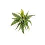 Planta artificial helecho ALSAWO en varilla, verde, 45 cm