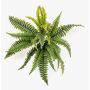 Planta artificial helecho ALSAWO en varilla, verde, 45 cm