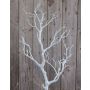 Rama decorativa de peral ARTHAS, blanca, 75cm