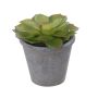Echeveria morani artificial BENCY, maceta, verde-rojo, 10cm