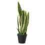Sansevieria artificial CASTIEL, maceta, verde-amarillo, 50cm