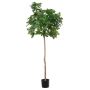 Higuera artificial BOJANO, tronco natural, verde, 180cm