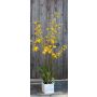Orquídea Oncidium sintética YARA, en maceta de cerámica, amarilla, 100cm