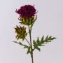 Flor de cardo artificial TALISHA, rosa, 55cm