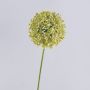 Allium artificial HELLA, brillo, crema-verde, 75cm, Ø11cm