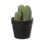 Cactus columna decorativo NIENA, maceta, verde, 10cm