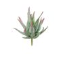 Agave decipiens artificial KIANE, ramita, verde-gris-rojo, 10cm
