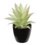 Agave americana artificial KOSEY, maceta, verde claro-rojo, 16cm