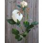 Rosa artificial CARUSA, blanco-crema, 80cm, Ø8cm