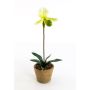 Orquídea Paphiopedilum artificial VELANA, maceta de terracota, crema-verde, 40cm