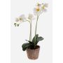 Orquídea Phalaenopsis sintética MINA maceta terracota, blanco, 45cm, Ø6-8cm