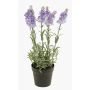 Lavanda artificial LOUISE, maceta decorativa, violeta claro, 30cm, Ø3cm