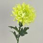 Crisantemo flor artificial KESARA, crema-verde, 65cm, Ø16cm