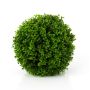 Bola de mirto artificial MANOA, verde, 23cm